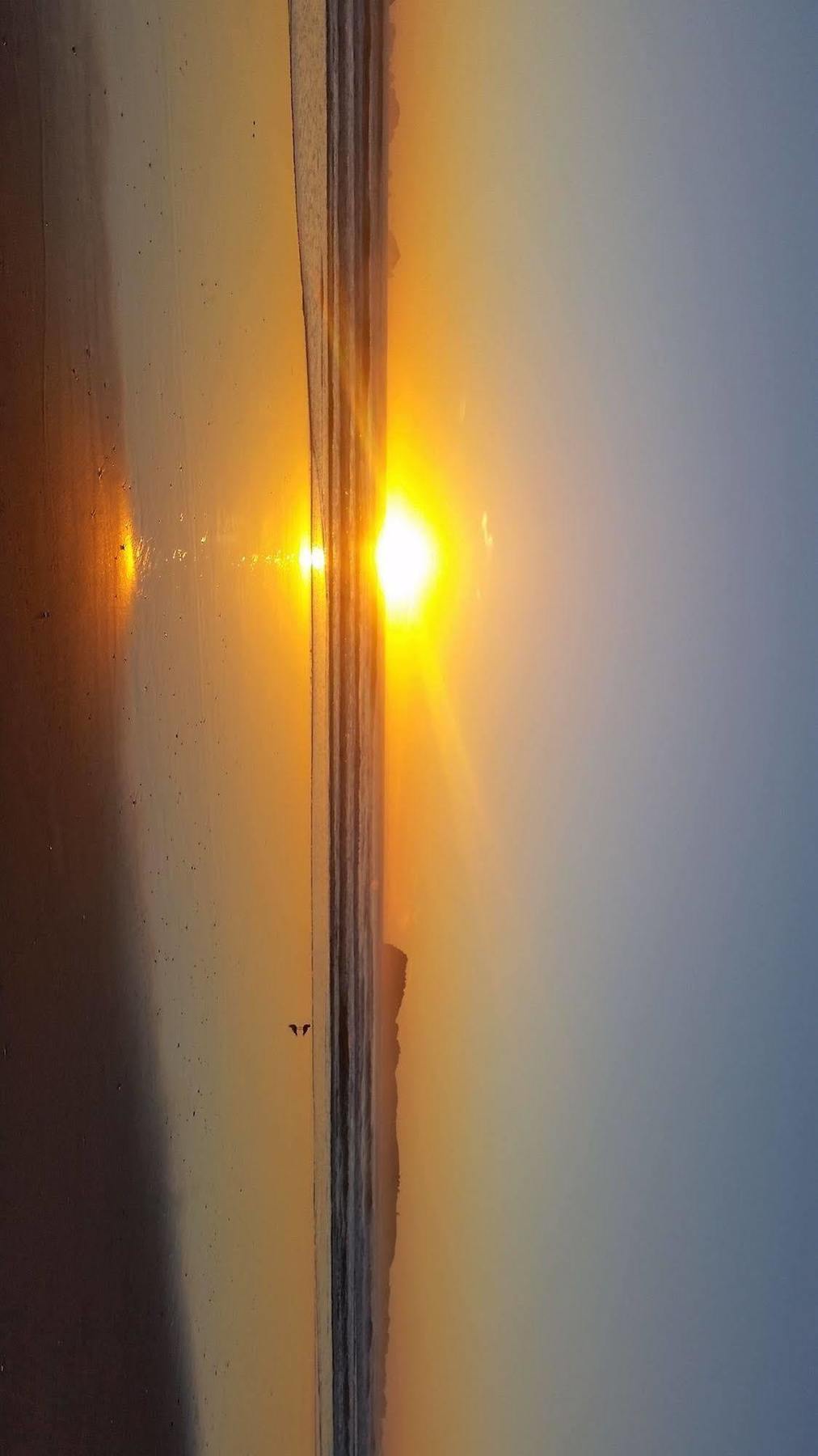 Pauanui Pines Motor Lodge Dış mekan fotoğraf